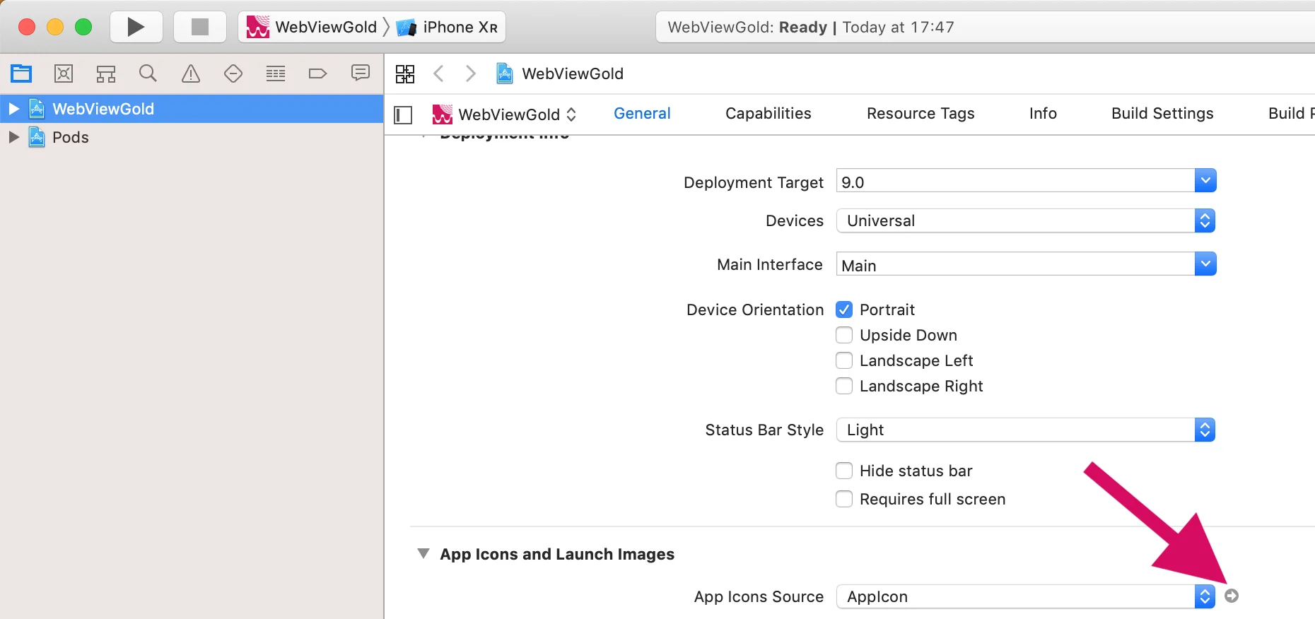 Add your iOS icon to the project space